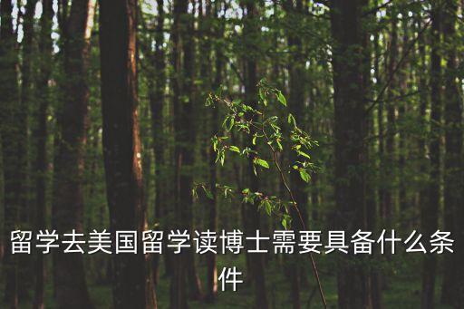 留學(xué)去美國留學(xué)讀博士需要具備什么條件