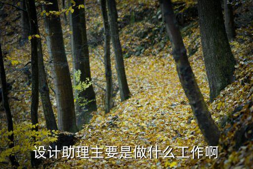 設計助理，想知道設計師助理到底都做些什么