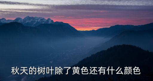秋天的樹葉除了黃色還有什么顏色