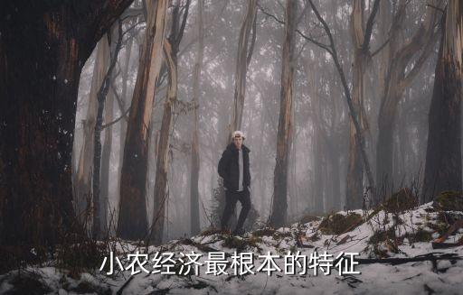 小農經濟特點，小農經濟生活方式的特點
