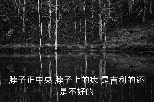 正中央，正中央是哪一個頁面啊