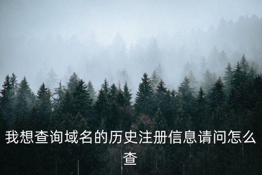 查詢域名注冊信息，我想查詢域名的歷史注冊信息請問怎么查
