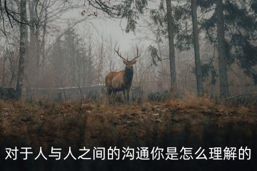 對(duì)于人與人之間的溝通你是怎么理解的