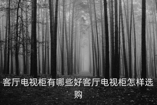 客廳電視柜有哪些好客廳電視柜怎樣選購(gòu)