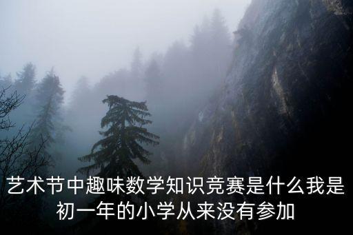 藝術節中趣味數學知識競賽是什么我是初一年的小學從來沒有參加