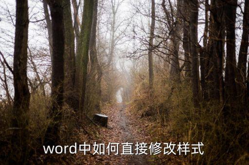 word中如何直接修改樣式