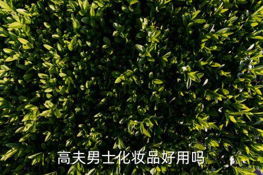 高夫男士化妝品，高夫男士化妝品好用嗎