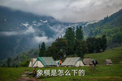 象棋的下法，象棋是怎么下的