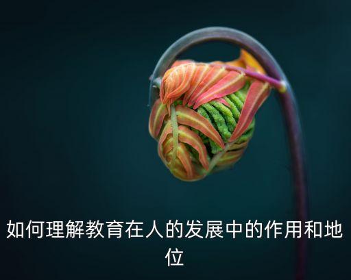 教育的重要性，教育的重要性