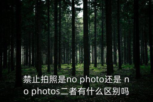 禁止拍照是no photo還是 no photos二者有什么區別嗎