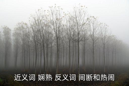 近義詞 嫻熟 反義詞 間斷和熱鬧