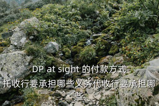 DP at sight 的付款方式托收行要承擔哪些義務代收行要承擔哪些