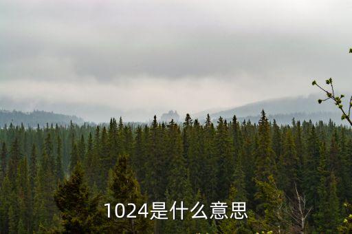 1024是什么意思