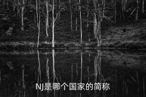 NJ是哪個國家的簡稱