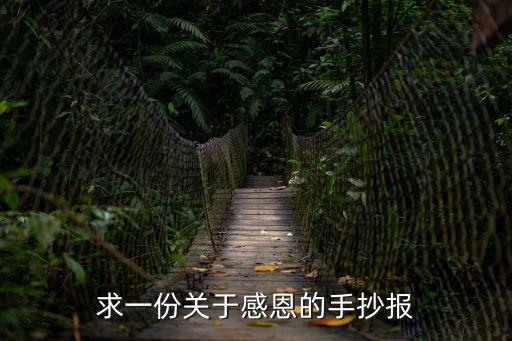求一份關于感恩的手抄報