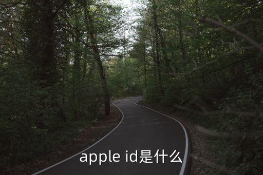 appid是什么，iPhone4 Apple ID密碼是什么