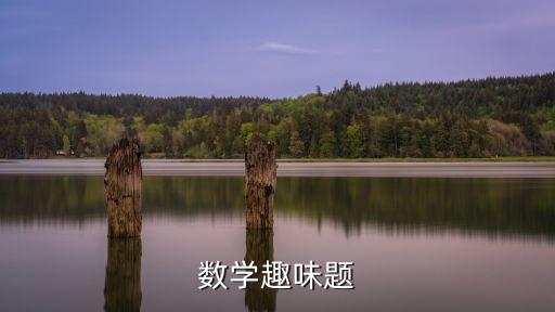 數學趣味，數學趣味題