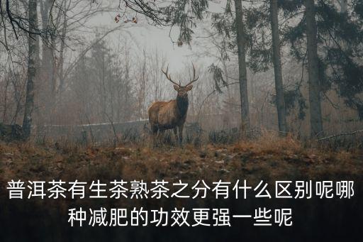 普洱茶有生茶熟茶之分有什么區(qū)別呢哪種減肥的功效更強(qiáng)一些呢