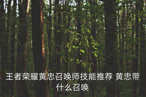 王者榮耀黃忠召喚師技能推薦 黃忠帶什么召喚
