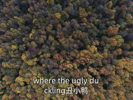 where the ugly duckling丑小鴨