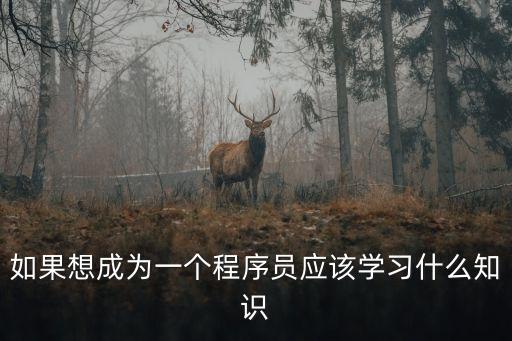 如果想成為一個程序員應該學習什么知識