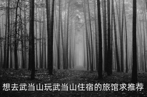 武當山住宿，想去武當山玩武當山住宿的旅館求推薦
