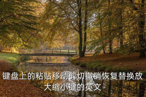 鍵盤上的粘貼移動剪切撤銷恢復替換放大縮小鍵的英文