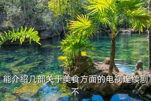 能介紹幾部關于美食方面的電視連續劇不