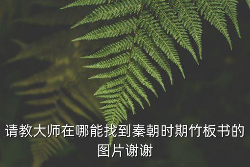 請教大師在哪能找到秦朝時(shí)期竹板書的圖片謝謝