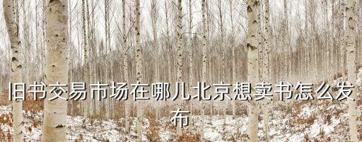 舊書交易市場在哪兒北京想賣書怎么發(fā)布