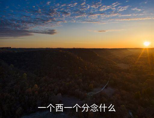 一西，一個(gè)西一個(gè)分念什么