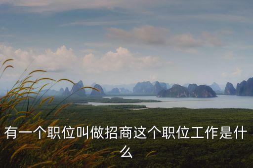 招商是什么工作，招商主要做什么工作我從來(lái)沒(méi)有接觸過(guò)這個(gè)行業(yè)希望大家能夠幫幫我