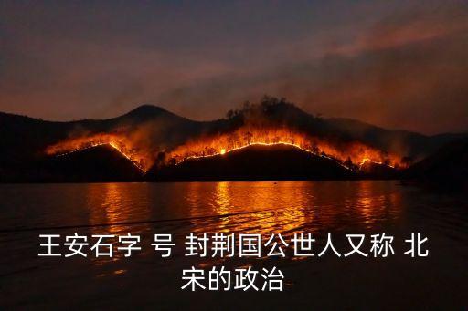 王安石字 號 封荊國公世人又稱 北宋的政治