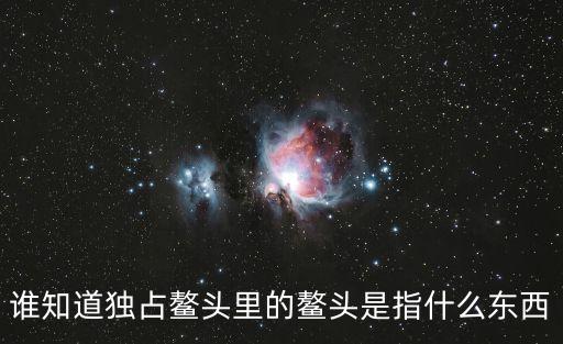 誰知道獨占鰲頭里的鰲頭是指什么東西