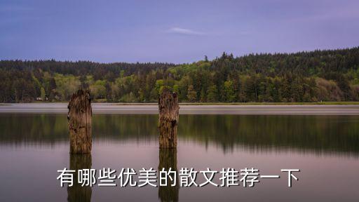 有哪些優(yōu)美的散文推薦一下