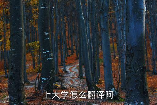上大學(xué)怎么翻譯阿