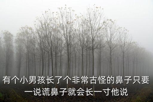 小木偶奇遇記，木偶奇遇記主人公