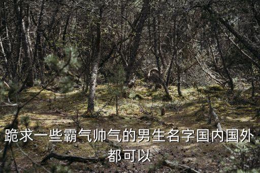 跪求一些霸氣帥氣的男生名字國內(nèi)國外都可以