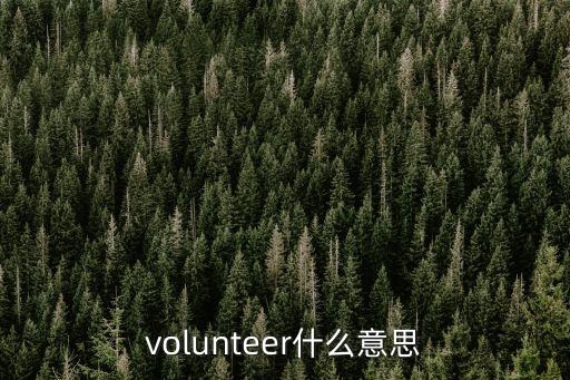 volunteer什么意思