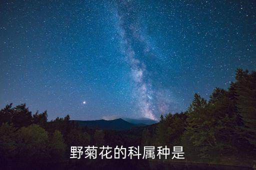 野菊花的科屬種是