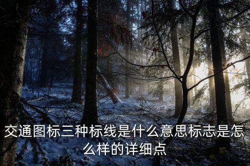 交通標線，交通圖標三種標線是什么意思標志是怎么樣的詳細點