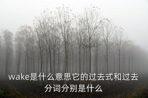 wake是什么意思它的過去式和過去分詞分別是什么