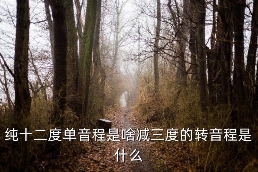 純十二度單音程是啥減三度的轉(zhuǎn)音程是什么