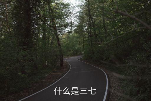 三七，什么是三七
