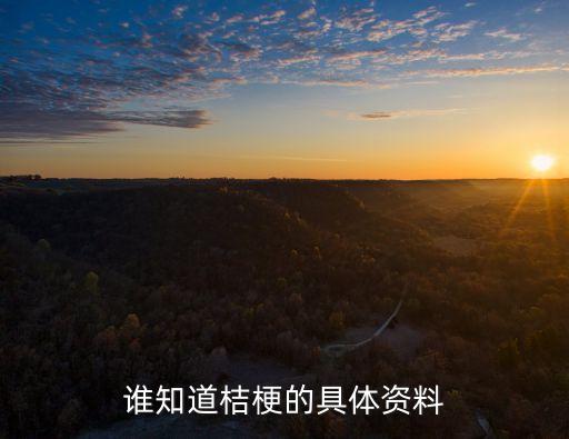 桔梗，桔梗什么意思