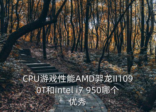 CPU游戲性能AMD羿龍II1090T和intel i7 950哪個優(yōu)秀