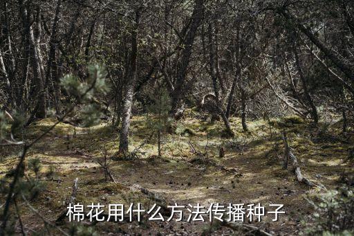 棉花用什么方法傳播種子