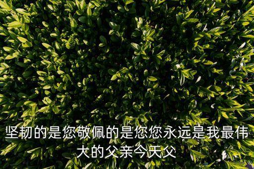 堅韌的是您敬佩的是您您永遠是我最偉大的父親今天父