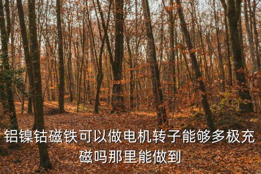 鋁鎳鈷磁鐵可以做電機轉子能夠多極充磁嗎那里能做到