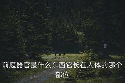 前庭器官，什么是前庭系統(tǒng)它如何影響孩子的發(fā)展
